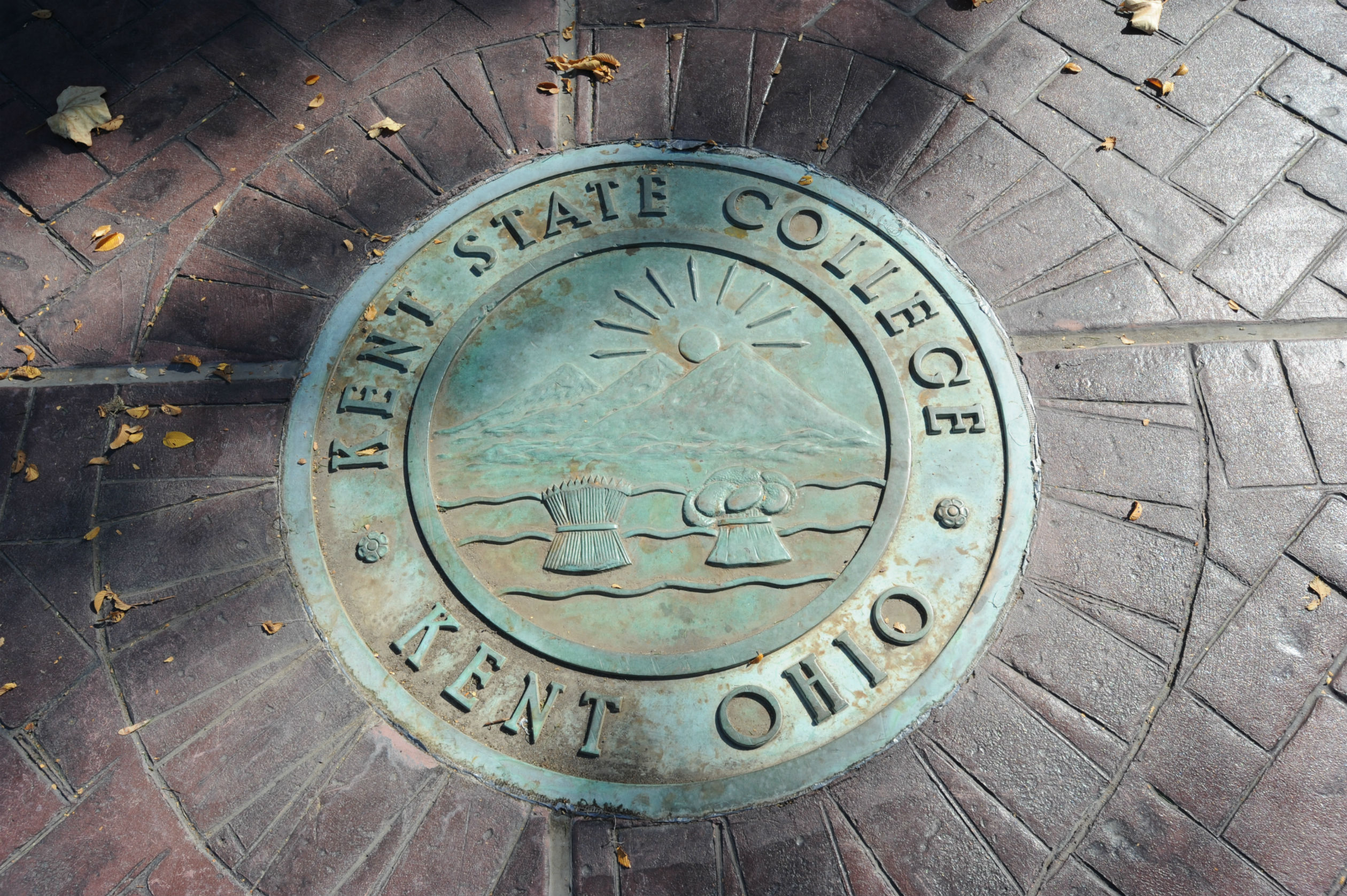 Important Information about Final Grading of Fall 2024 (POT F2) Classes